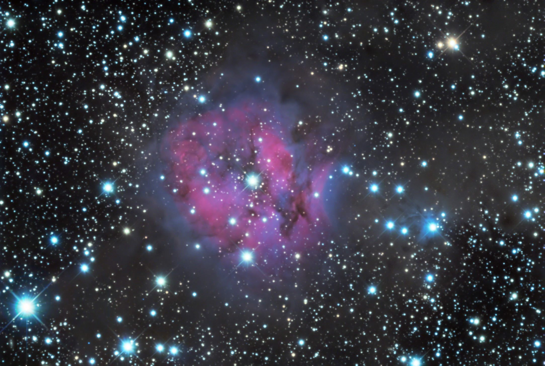 TwinOaks Observatory Gallery - M101